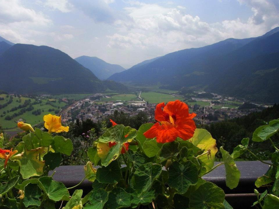 Alpenblick Bed & Breakfast Vipiteno Exterior foto